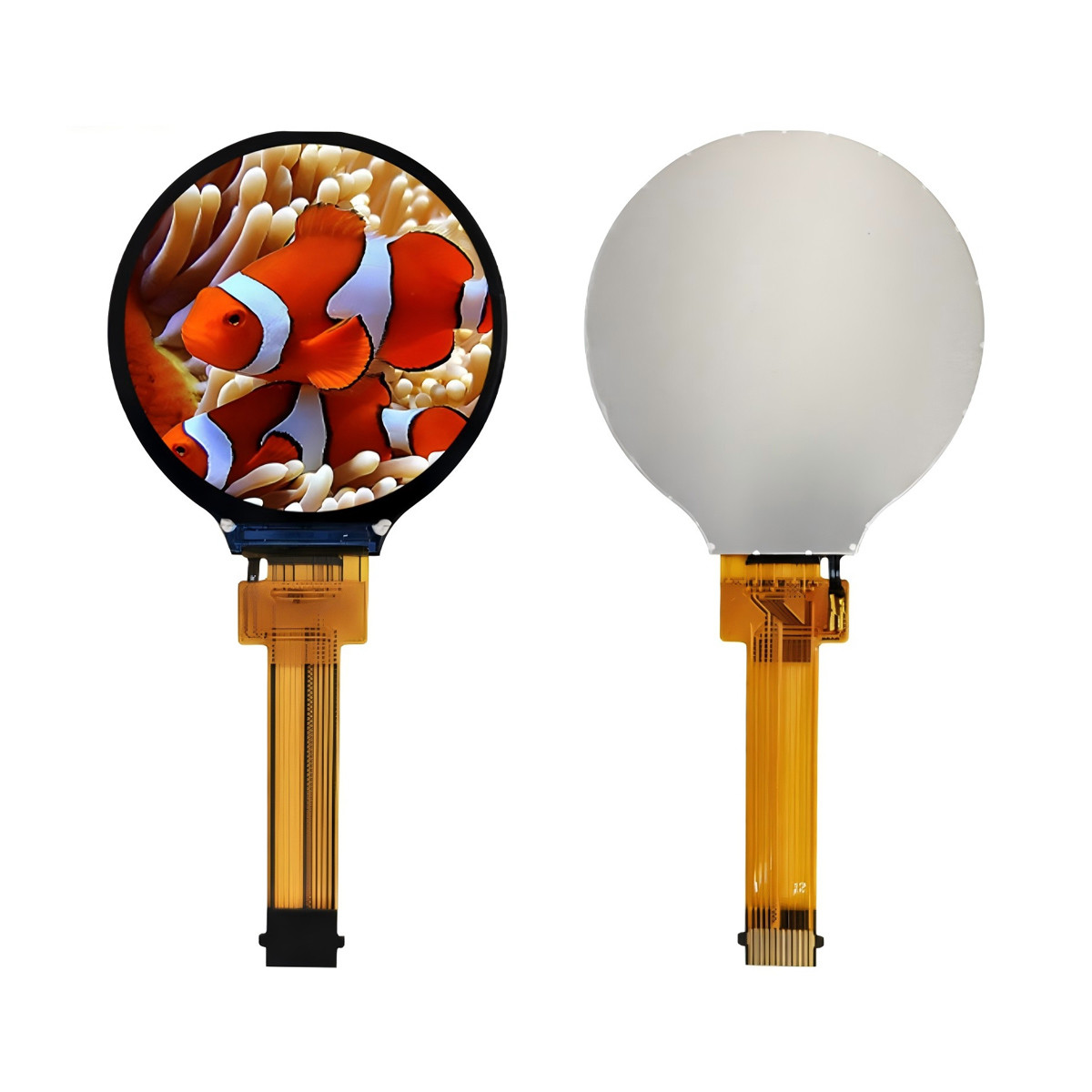 1.28 Inch Round TFT LCD - 240x240 SPI, PCAP Touch, Customizable | Best Price USA