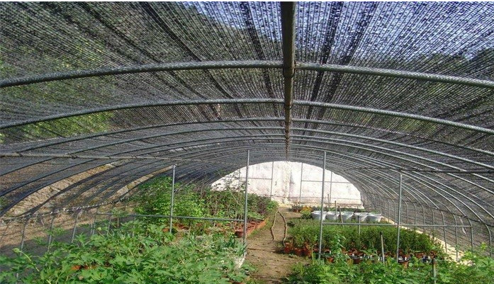 Customized 180g Outdoor Fabric Shade Cloth , Outdoor Sunscreen Shades Netting