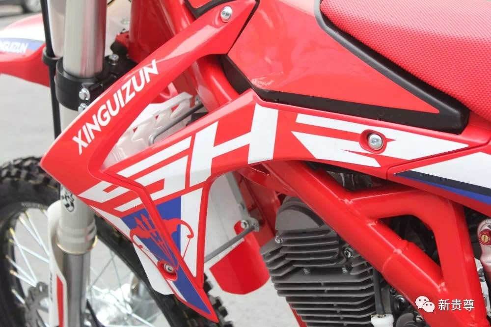 2019 hot-selling with powerful engine Dirt bike 250cc