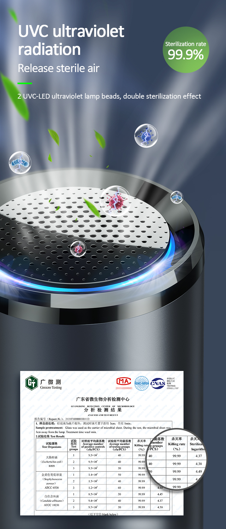 UVC Hepa Car Air Purifier