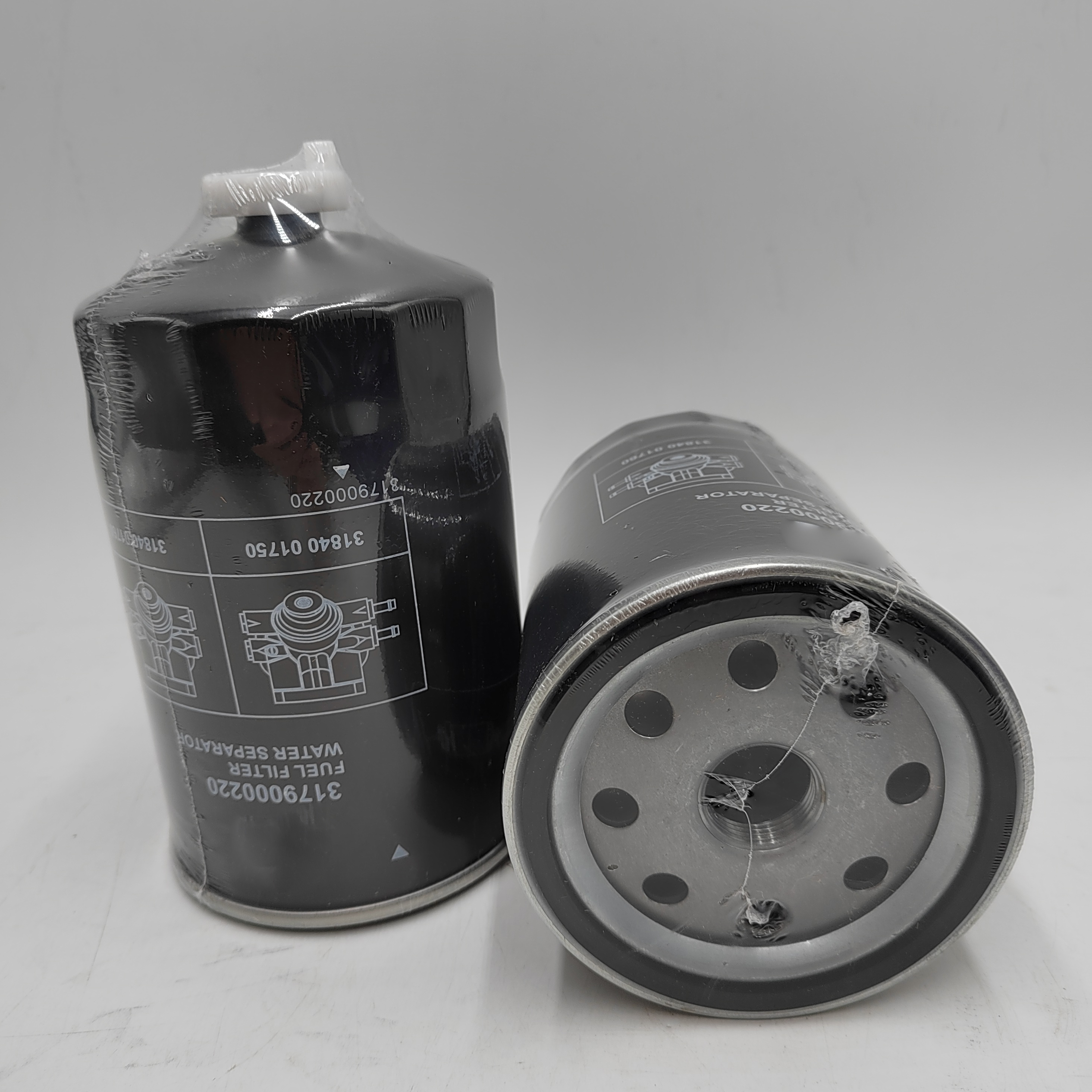 Truck Engine Parts Fuel Filter 3179000220 with OE NO. from Experienced OEM