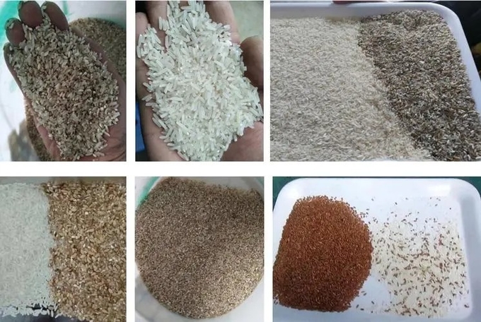 Hot Sale 99.99% Accuracy LED Lights Optical Glutinous Rice Processing Color Sorting Machine in Thailand
