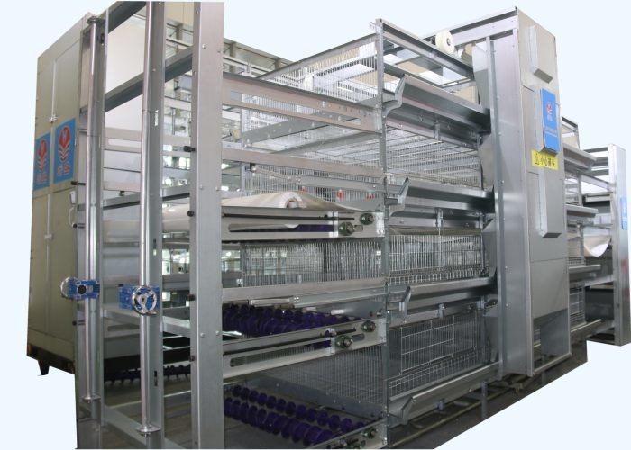 Custom Commercial Poultry Watering Systems Automatic Cup Style Poultry Chicken Drinkers