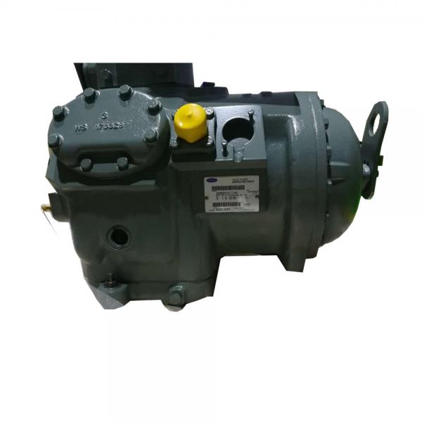 Quality Carrier Carlyle Cold Room Compressor 18-00055-20rm2 Ac Power Cfm Designation Oil Less  Lubrication for sale