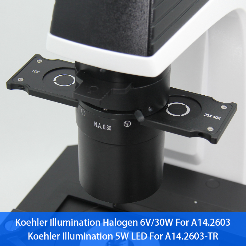 Binocular Wide Field Fluorescence Microscopy A16.2614 40X - 1600X Magnification