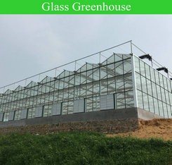 Film Covered Agricultural Tunnel Greenhouse for Growing Vegetables Fruits and Flowers