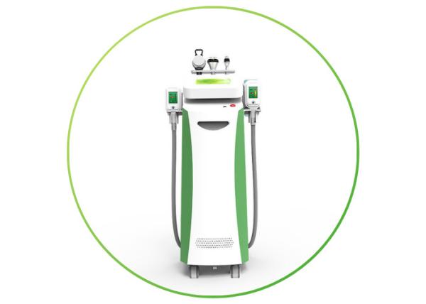 Fat Freezing Cryolipolysis Machine Cryolipolysis Slimming Machine For Clinic