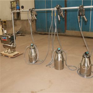 Portable Bucket Milking Machine with 25L Stainless Bucket 1.1kw-3.0kw Power and 1440 Rpm/Min Motor Speed