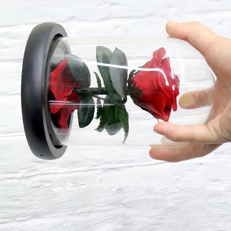 Wholesale long stem preserved roses in glass dome rose gift Real Preserved Rose In Glass That Last 3 Years