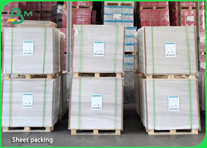 PE Laminated White Paper Glossy Coated Base Paper 80gsm + 10g