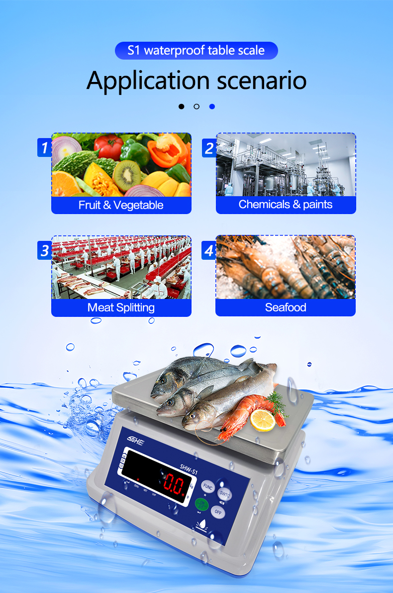 AC/DC Power Supply SOHE A1S Waterproof Scale IP68 3KG with Stainless Steel Design