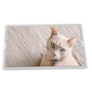 China LB043WV2-SD01 Module 4.3-Inch WLED WLED LCD Display 480*800 Resolution LCD Modules ODM Supplier on sale