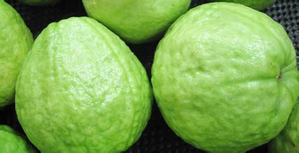 GUAVA BAG,pomegranate bag/Fruit growing packing bags,protective bag skype yu.zhang 951