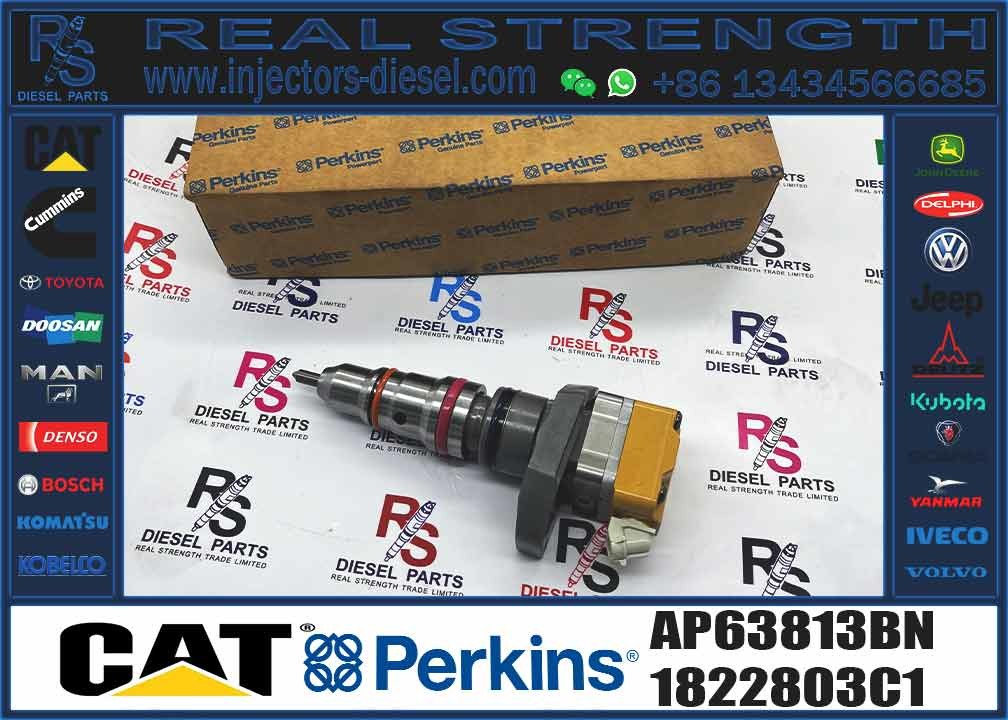 diesel engine parts fuel injector AP63813BN 1822803C1 BN1830693C3 593597C91R BI1830562C2 BI1830560C2