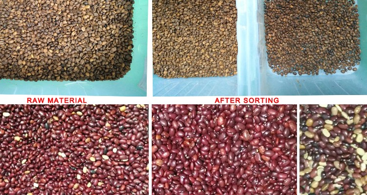 220V / 50Hz Wenyao Color Sorter Machine For Coffee Bean Cherry