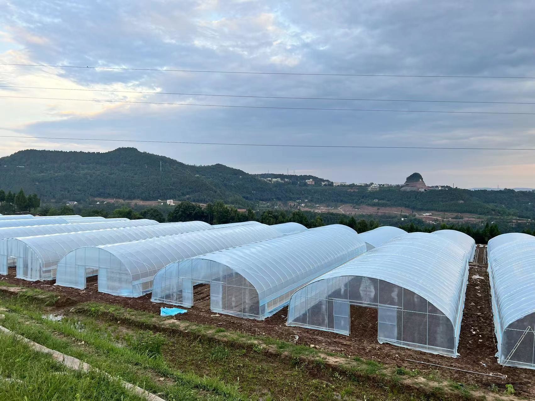 High Quality Clear UV Resistant Greenhouse Film Plastic Agriculture For Strawberry Flower Hydroponic