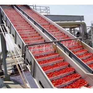 4000 Tons/Day Tomato Processing Line Tomato Sauce Production Line For Large