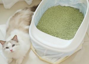  Long Lasting Pet Cat Litter With Enhanced Odor Control 25kg Packing Manufactures