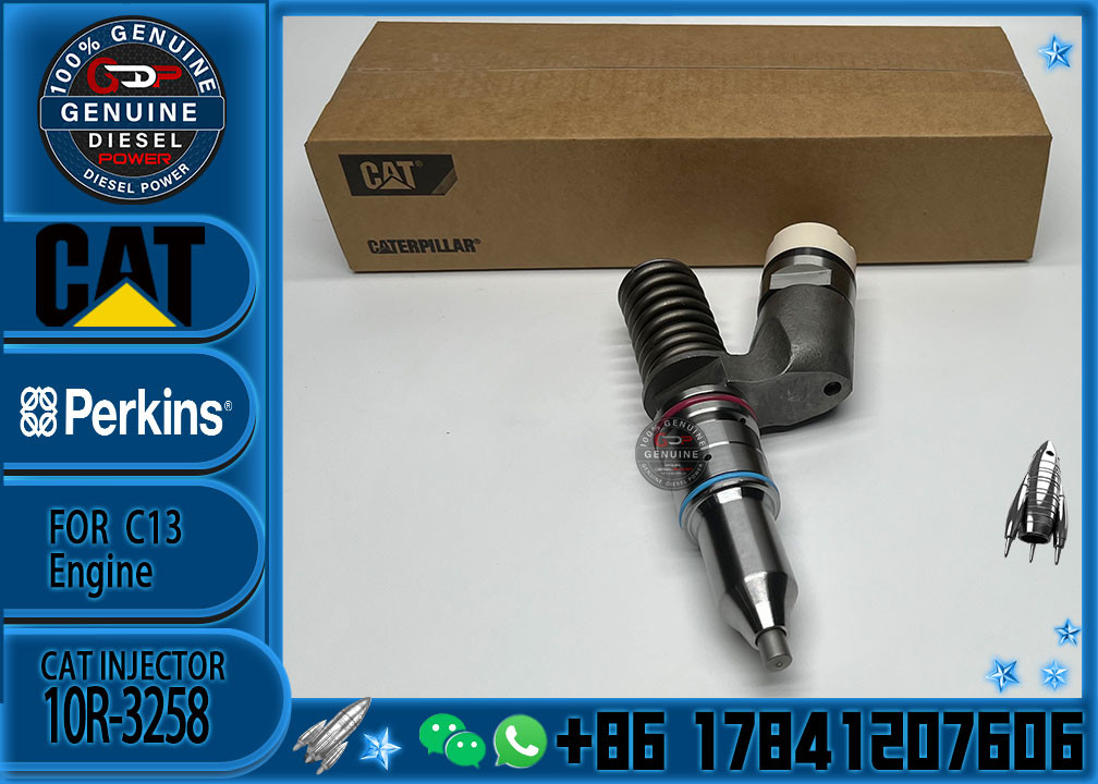 Factory Direct Supply Common Rail Injector 250-1309 10R-3258 253-0608 292-3666 2923666 253-0608