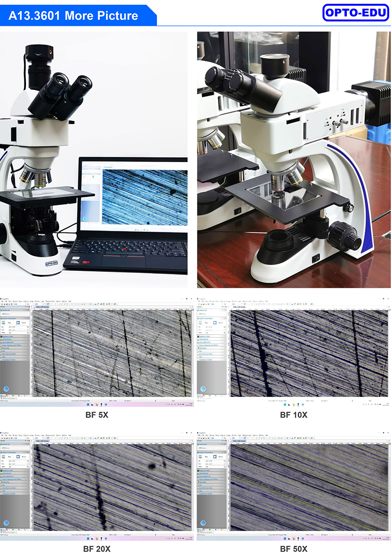 OPTO EDU A13.3601 Binocular Metallurgical Microscope Transmit And Reflect Light
