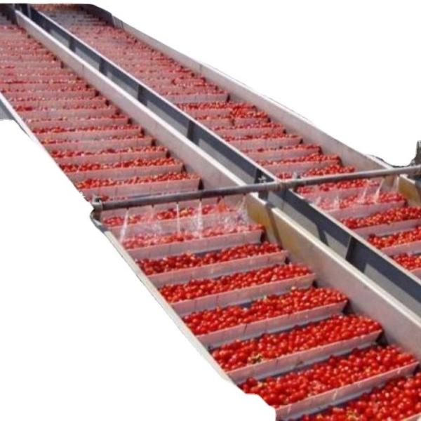 Customized Stainless Steel 304 316 Apple Juice Production Line 10ton Industrial