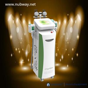 China vertical cryolipolysis fat freezing machine with 4 on sale
