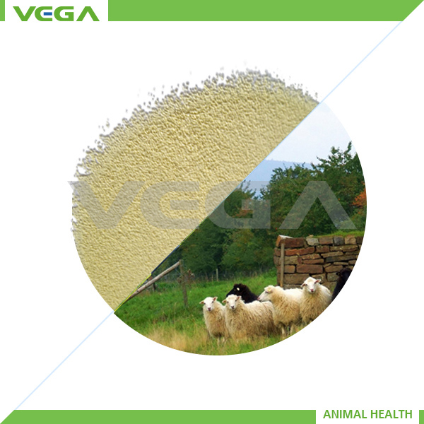Colistin Sulfate Cattle Grade
