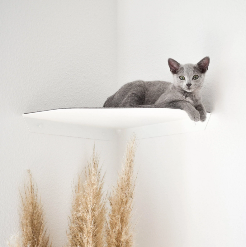Versatile Steel Cat Wall Shelf Wall Furniture Perch Cat Hammock Bed Metal Cat Climber