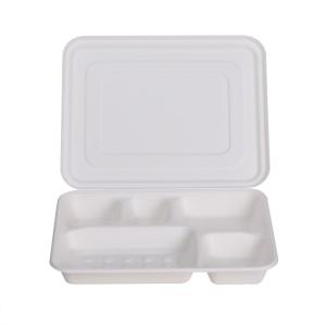 Eco-friendly customized takeaway lunch box biodegradable sugarcane bagasse