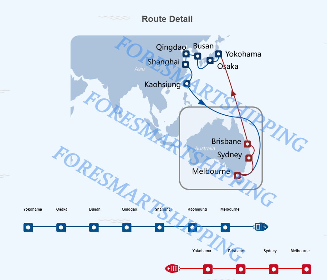 Container Shipping Shenzhen To Australia LCL Freight Forwarder