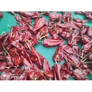 China New Crop Yidu Dried Chili With Stem HACCP Certification on sale