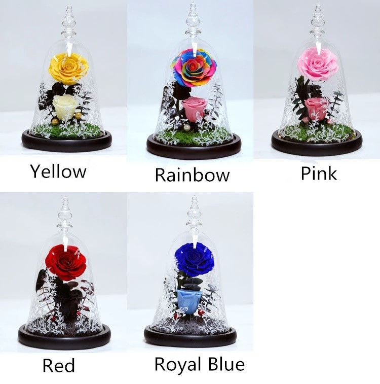 Beauty and the beast roses valentines day real preserved rose in glass that lasting 3 years