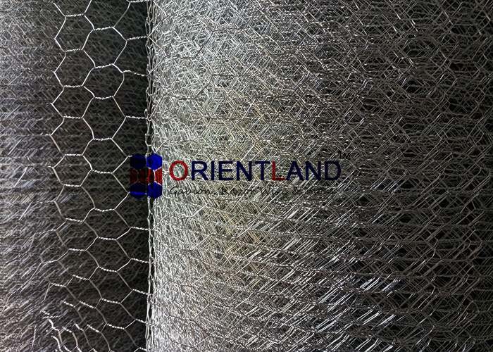  High Intensity Heavy Gauge Chicken Wire Netting Animals Plants Fencing ISO Approval Manufactures