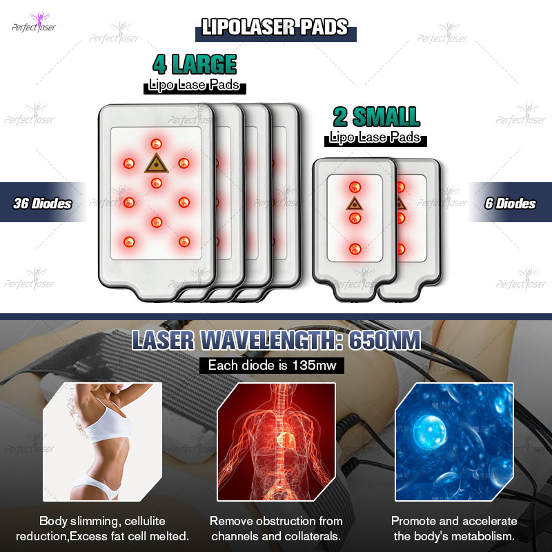AC 110V/220V 50-60 Hz Fat Reduction Device With 40K Hz Cavitation Frequency