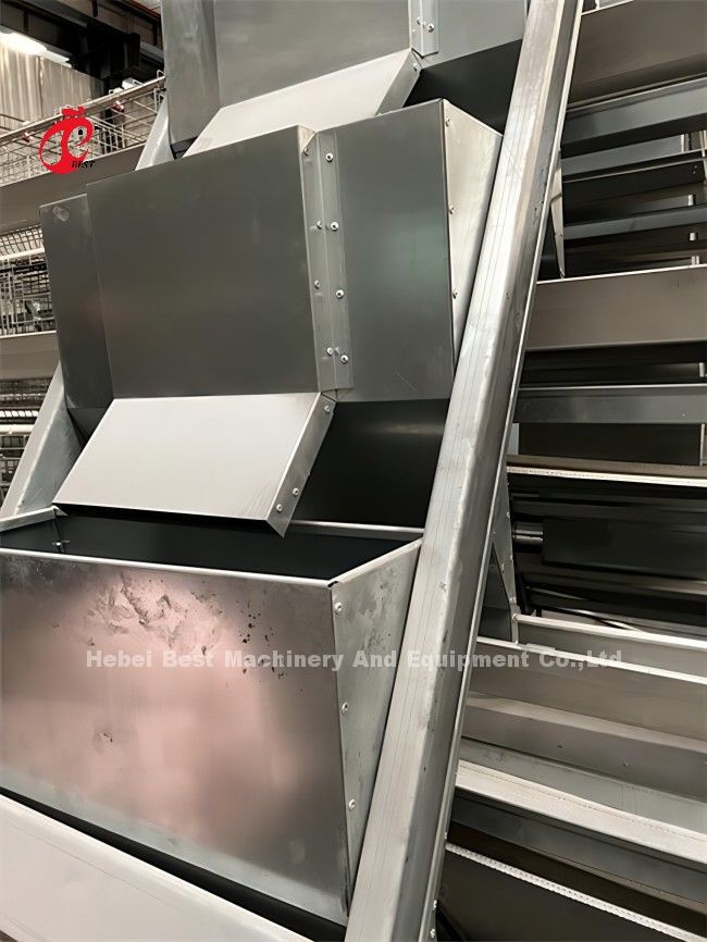 Full Automatic Feeding Poultry Farms Chicken Cages A And H Type Rose