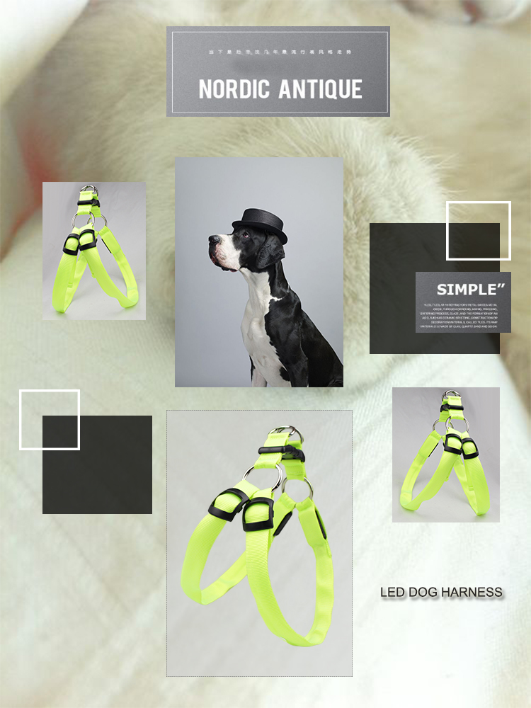 Training Led Dog Harness Glowing Security Pet Safety Fluorescent Soft USB Rechargeable