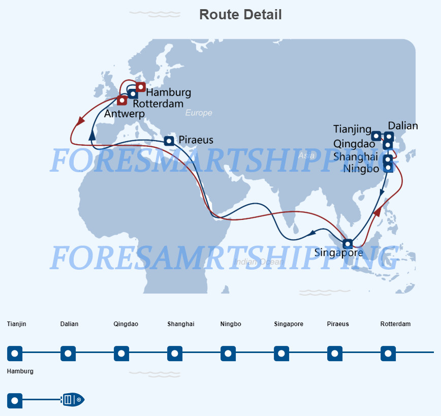 Shenzhen To Netherlands FCL Ocean Freight Container Shipping