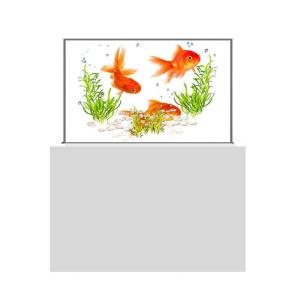  Sleek See Through OLED Display Touchscreen OLED Clear Display Manufactures