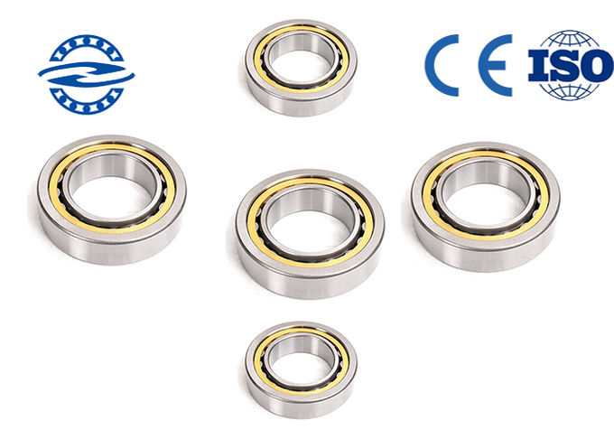 P6 Cylindrical Roller Bearing NU / NJ 206 GCR 15 With Double Row Chrome Steel Brass Cage 1