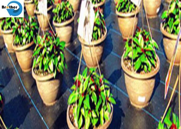 100% Anti-UV Green Line PP Weed Control Mat Ground Cover Barrier Landscape