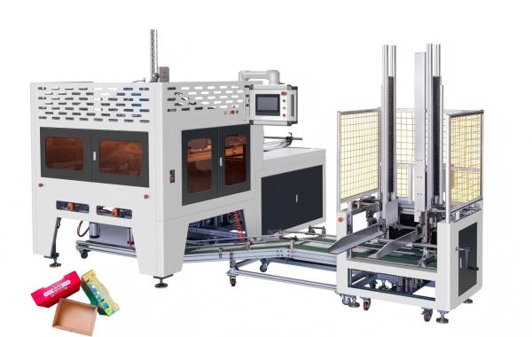 Fully Automatic Carton Processing Machine Fruit/Vegetable Packaging Boxes And