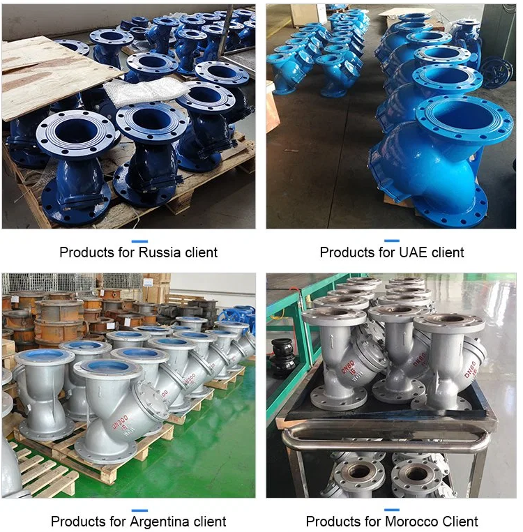 Customized SS Body DIN AWWA Cast Iron Flanged Y Strainer Y Type Basket Strainer Filter Water Strainer