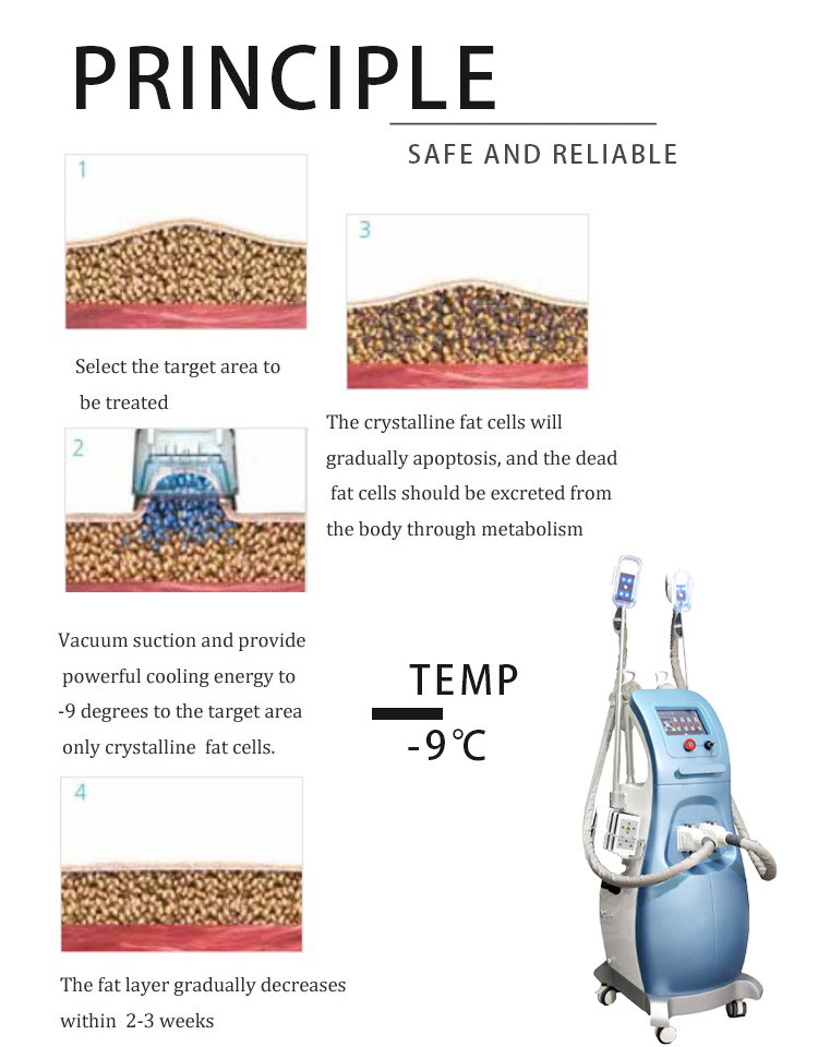 6 in 1 Salon use Multifunction weight loss cavitation rf vacuum cryo lipo laser slimming beauty machine LF-208