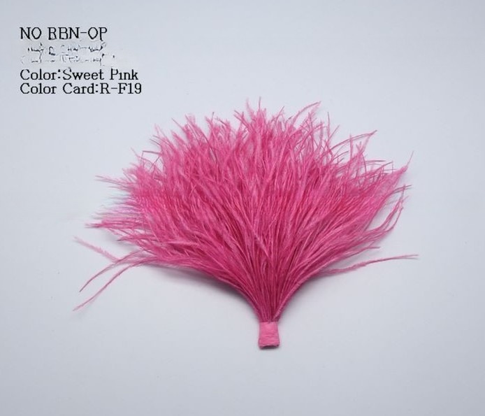 Soft and Fluffy 6*10 cm Dyed Ostrich Feather Bundle for Fashion Design