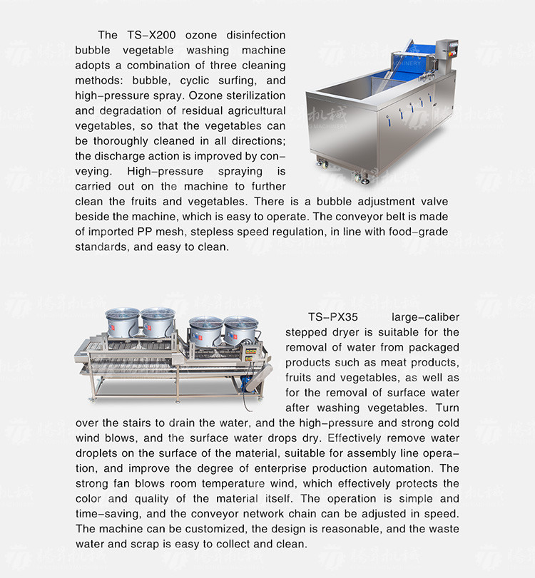 Fruit And Vegetable Wool Roller Bubble Cleaning Machine 1500KG/H