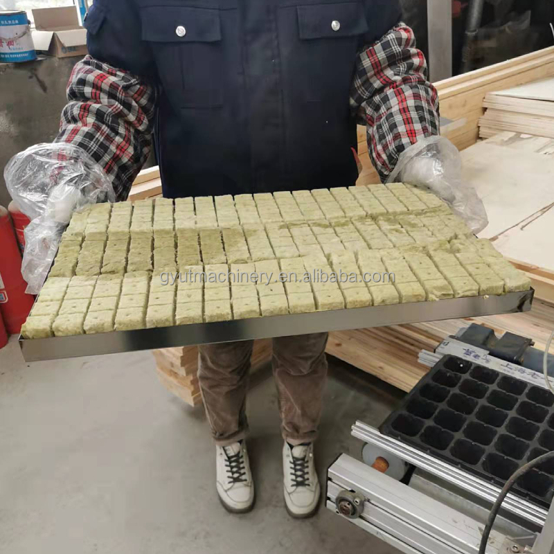 Customised 600*700*800mm Professional Pumpkin Seeds Tray Seeder for Nursery Planting