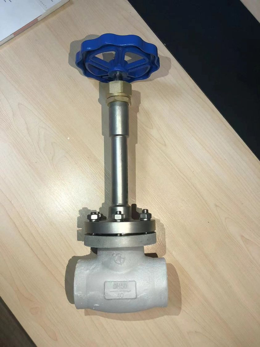PN50 PN40 Cryogenic Globe Valve -196~+80 ℃ For LNG LOX LIN LAR LCO2 Liuid Gases