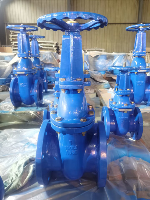 ANSI Rising Stem Metal Seat Gate Valve 50 mm Ductile Iron