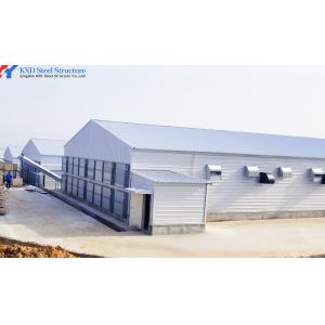Customized Automatic Steel Structure Poultry Farming House for Broilers