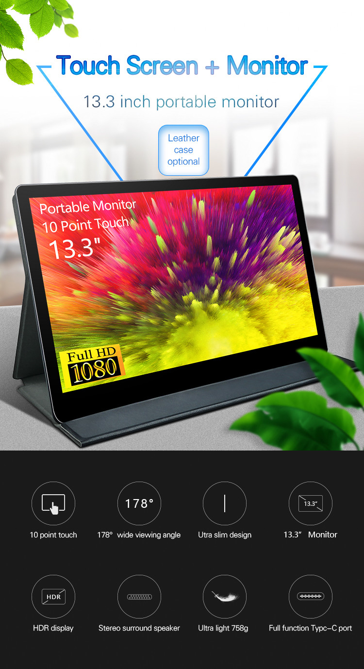 178 Degree Full View 72% Color Gamut 13.3 Inch Portable Console Monitor